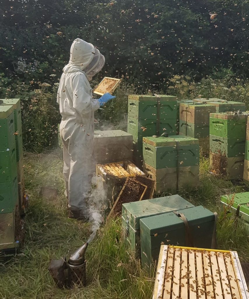 110331982_624336495127981_2072345958323365241_o-e1602689145428-854x1024