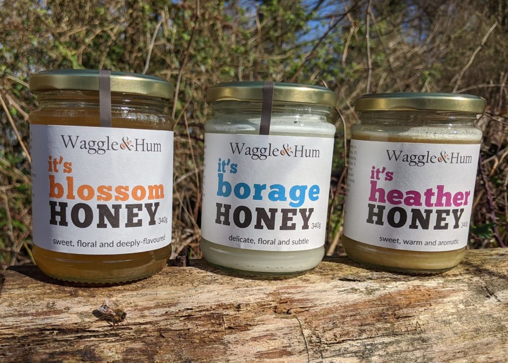 91465545_546439339584364_3870860265025175552_o-1024x733