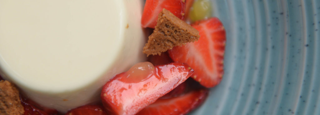 DSC_8724-small-scaled-e1617297692771-1024x368