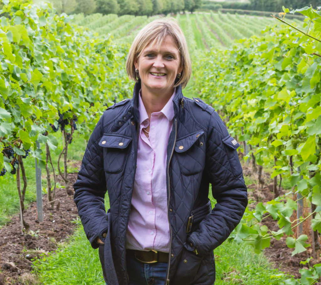 Sandy Luck - Aldwick Estate