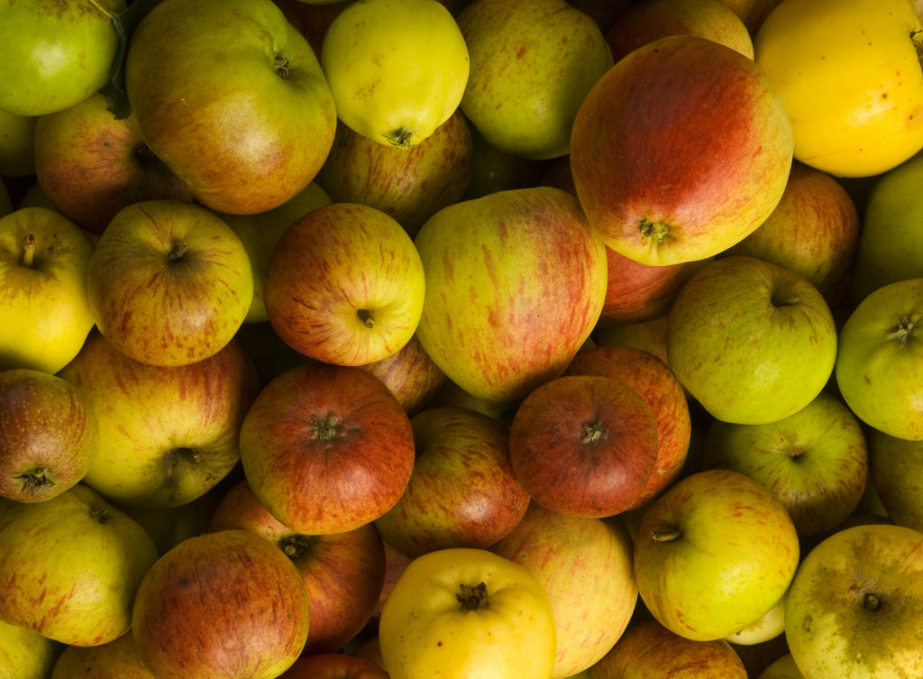 Apples-for-background-001-1024x753