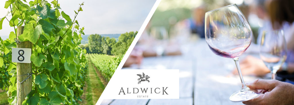 ALDWICK-ESTATE-1-01-1024x369
