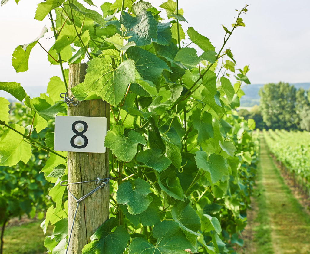 ALDWICK-ESTATE-4-e1614346028263-1024x840