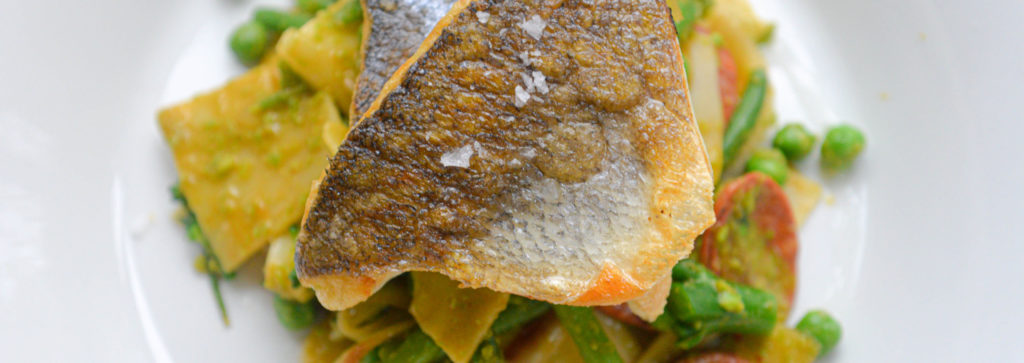 DSC_0361-1-scaled-e1611936685977-1024x363