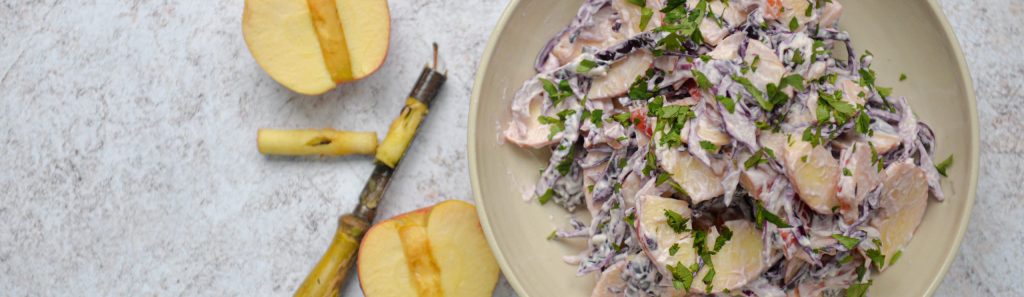 DSC_4126-scaled-e1625157051214-1024x297