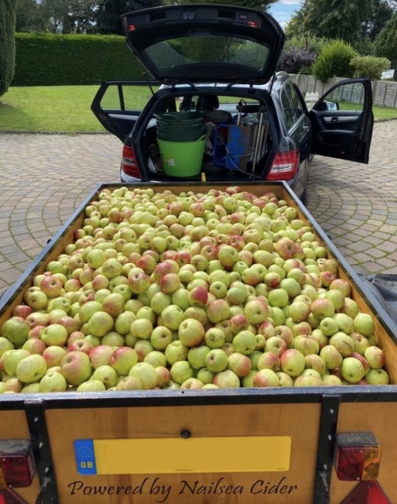 Screenshot-2021-08-09-at-17.57.38-807x1024