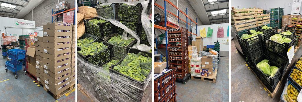 COLLAGE-FOR-BLOG-01-1024x348