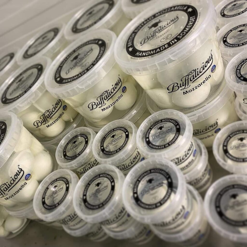 FB_IMG_1619450312164-1024x1024