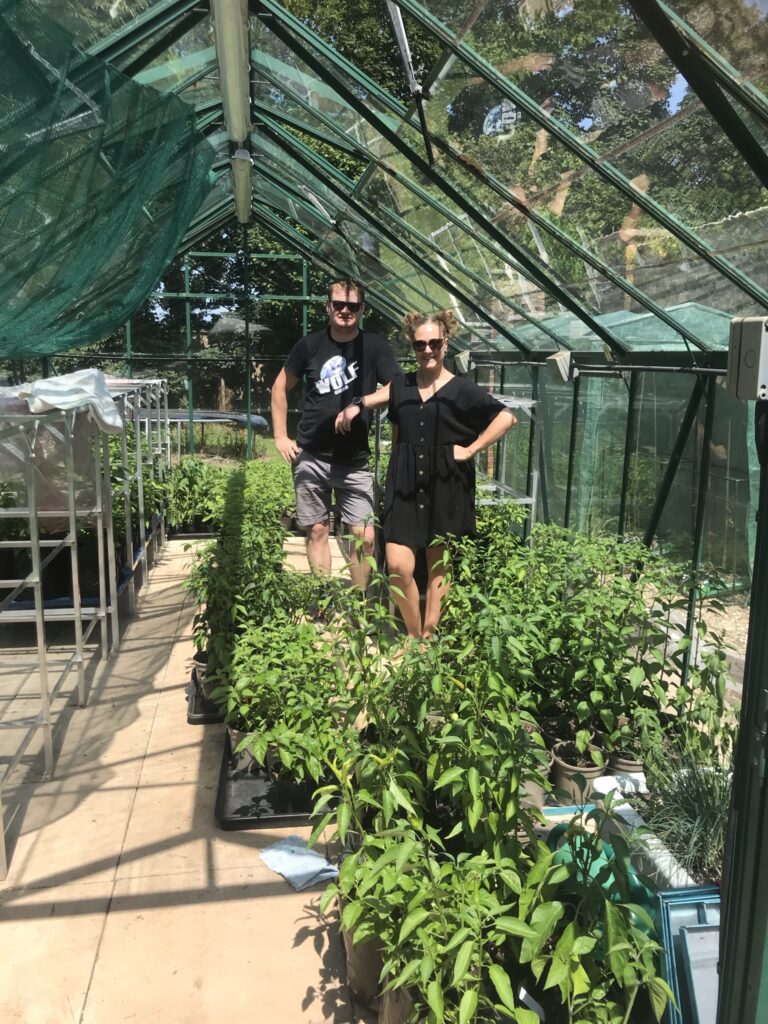 36773533-F21C-4099-881F-0884828F9AA1-768x1024