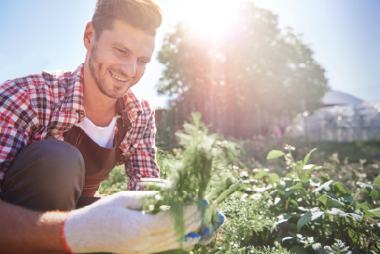 SUPPLIER-SIDEBAR-IMAGE