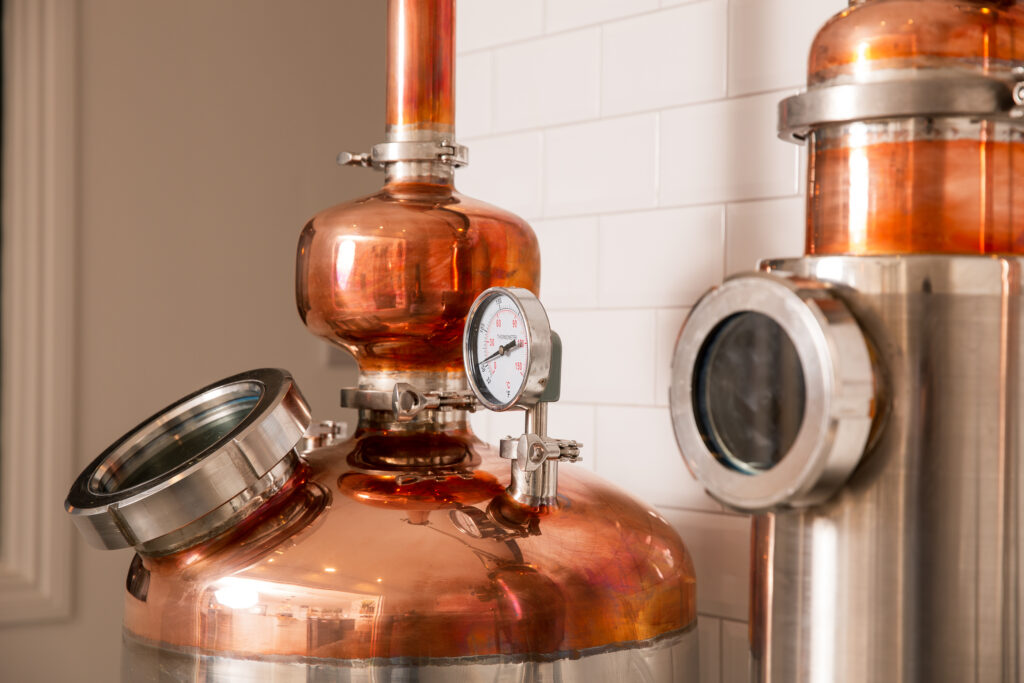 Still-Sisters_sRGB_LoRes_Web91-1024x683